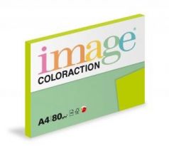 Papír kopírovací Coloraction A4 80 g zelená střední 100 listů