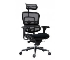 Kancelářská židle Ergohuman černá
