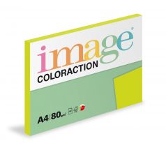 Papír kopírovací Coloraction A4 80 g zelená reflexní 100 listů