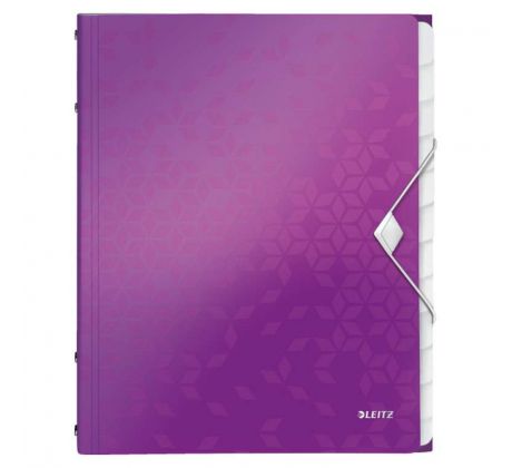 Rozdružovací kniha Leitz WOW 12ti dílná purpurová
