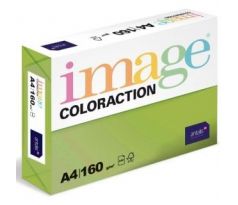 Papír kopírovací Coloraction A4 160 g zelená střední 250 listů